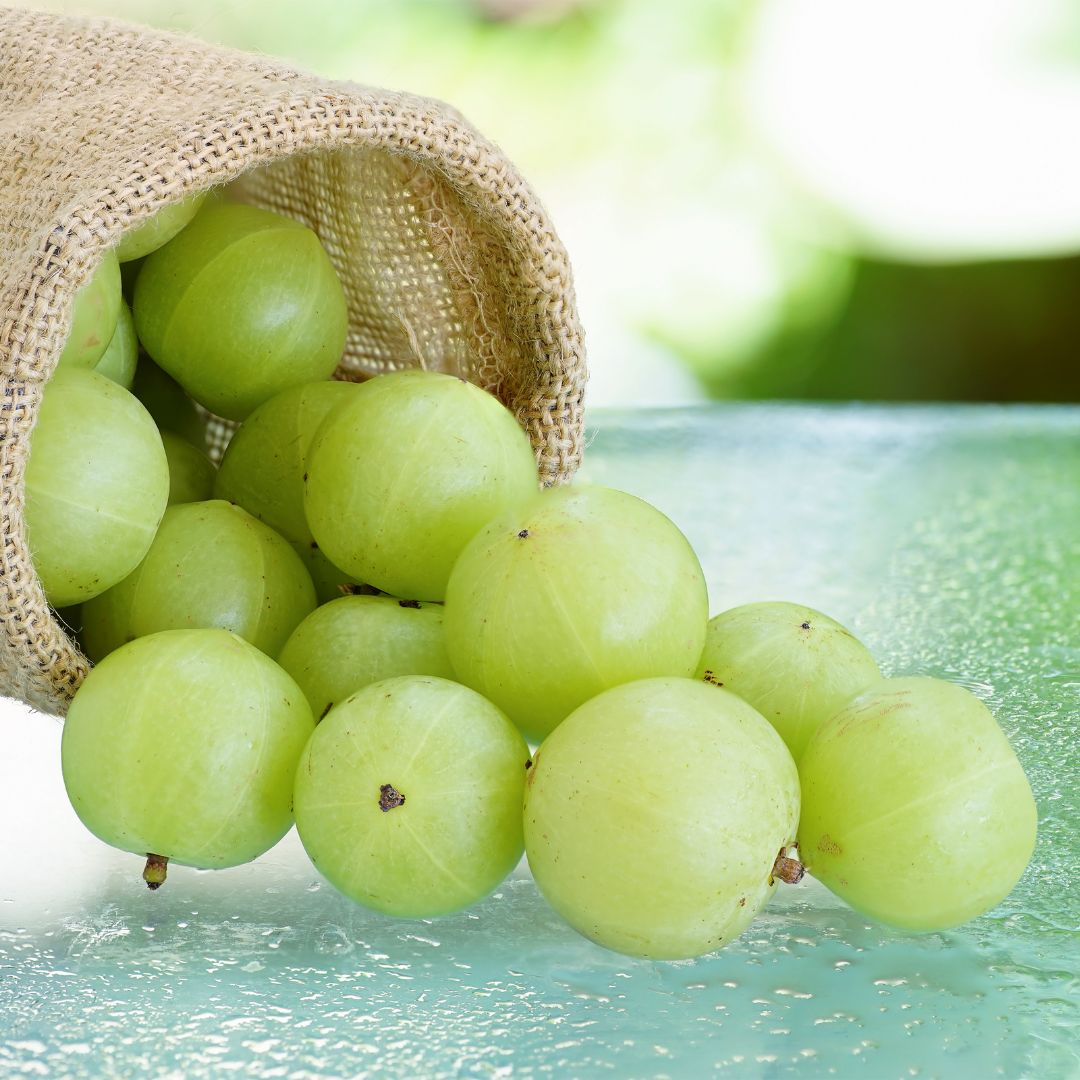Amla fruit on a glass table
