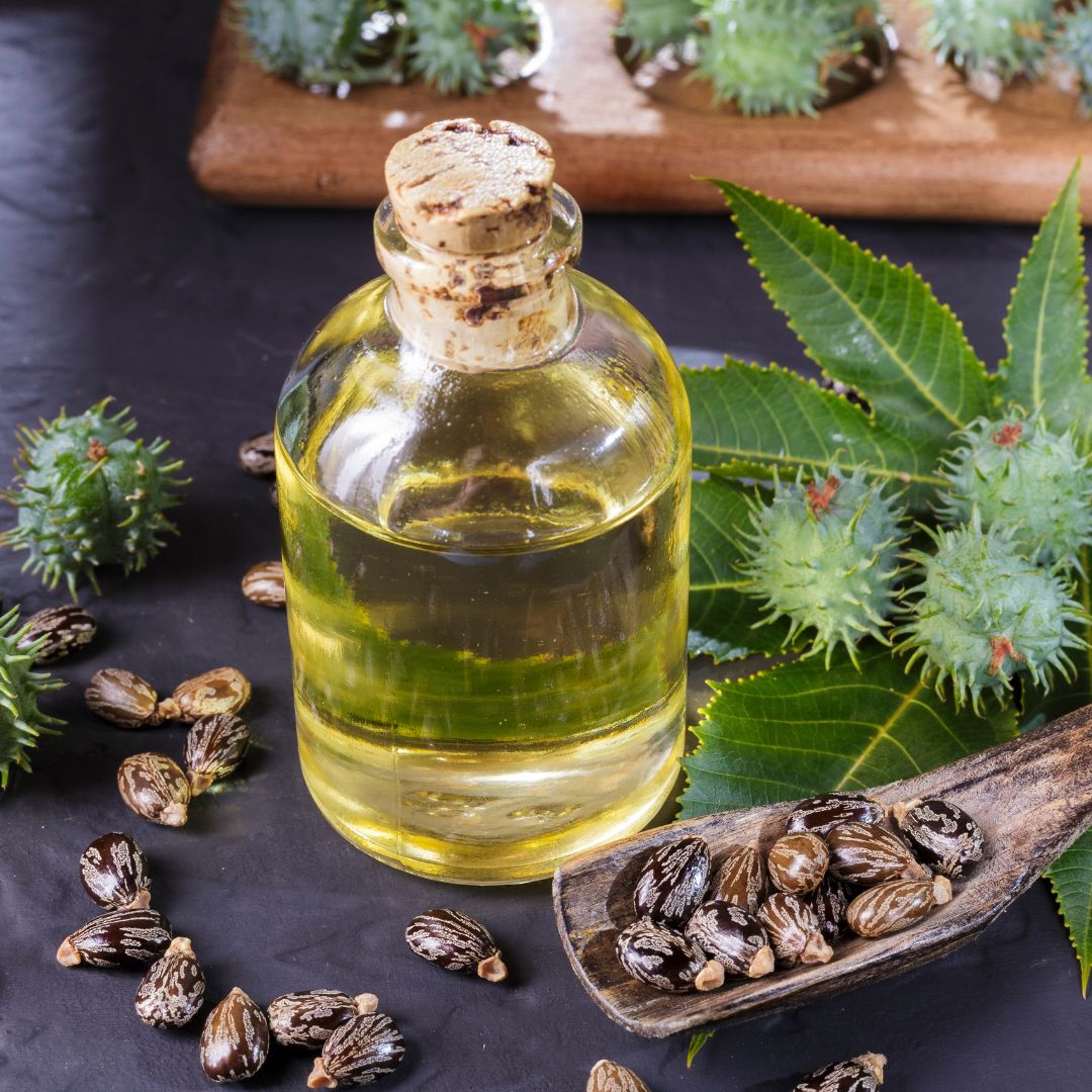 Castor Oil with the plant and beans
