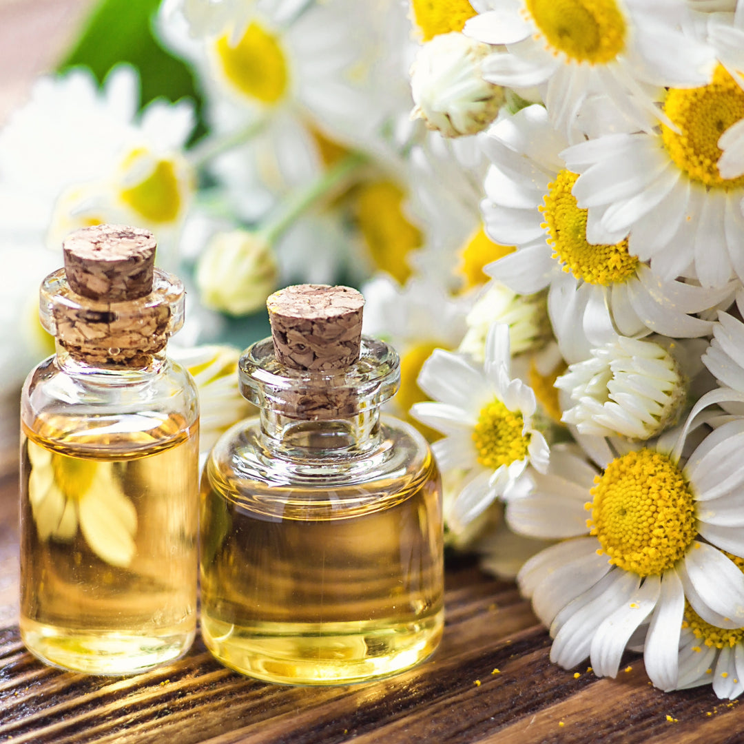 Matricaria oil surrounded by the flower