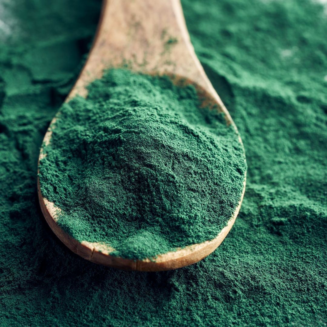 Spirulina in a spoon