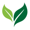 Leafs Eco-Friendly Icon